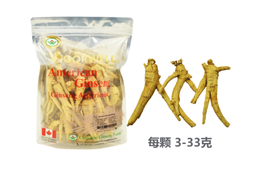 威格维尔 . 四年桶装西洋参 (1磅/454克/16盎司)