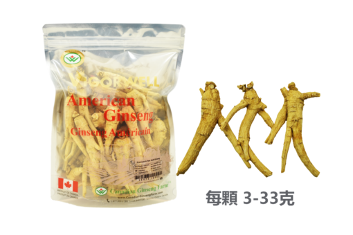 威格維爾 . 四年桶裝花旗參 (1磅/454克/16盎司)