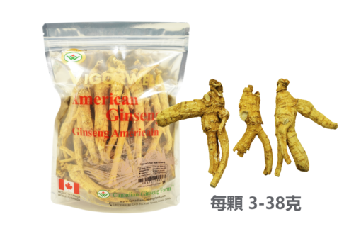 威格維爾 . 五年桶裝花旗參 (1磅/454克/16盎司)