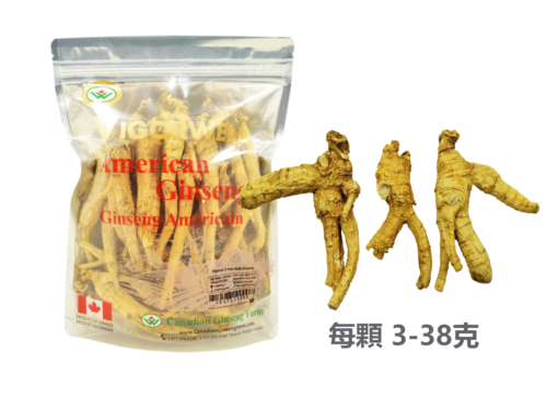 威格維爾 . 五年桶裝花旗參 (1磅/454克/16盎司)