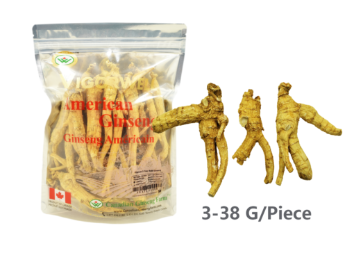Vigorwell 5-Year Bulk American Ginseng (1LB/454G/16OZ)