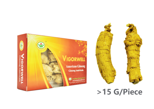 Vigorwell 5-Year Jumbo Medium-Chunky American Ginseng (150G/5.3OZ)