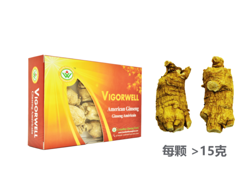 威格维尔 . 五年特级短泡西洋参 (150克/5.3盎司)