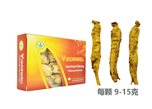 威格维尔 . 五年一级直参 (115克/4.1盎司)