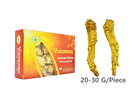 Vigorwell Selected Jumbo Long American Ginseng (150G/5.3OZ)