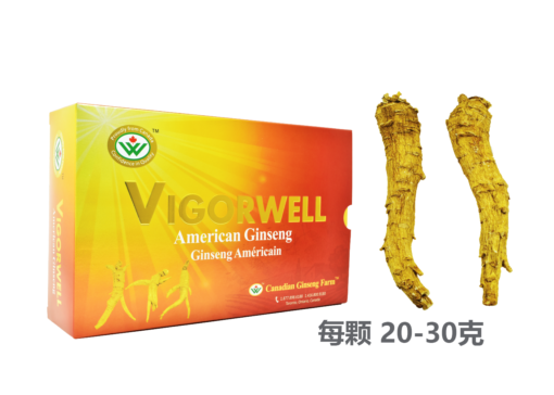 威格维尔 . 精选特级长枝西洋参 (400克/14.1盎司)