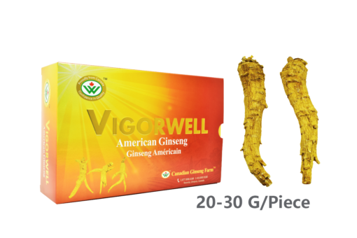 Vigorwell Selected Jumbo Long American Ginseng (400G/14.1OZ)