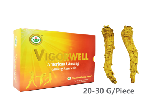 Vigorwell Selected Jumbo Long American Ginseng (400G/14.1OZ)