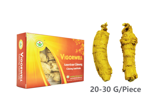 Vigorwell Selected Jumbo Medium-Chunky American Ginseng (150G/5.3OZ)