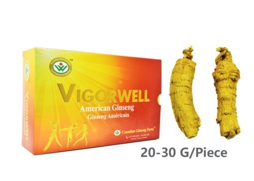 Vigorwell Selected Jumbo Medium-Chunky American Ginseng (1LB/454G/16OZ)
