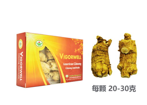 威格维尔 . 精选特级短泡西洋参 (150克/5.3盎司)