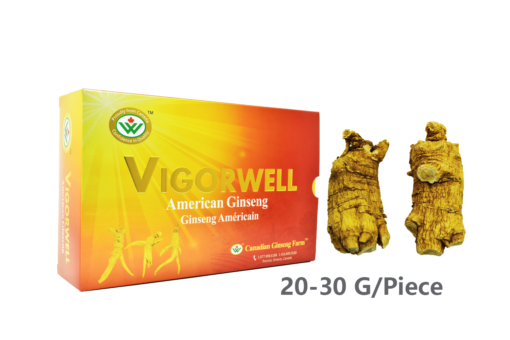 Vigorwell Selected Jumbo Short-Chunky American Ginseng (1LB/454G/16OZ)
