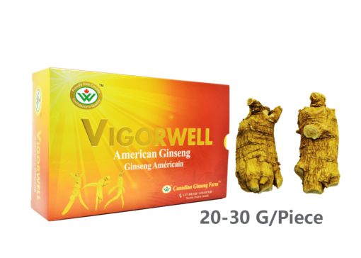 Vigorwell Selected Jumbo Short-Chunky American Ginseng (1LB/454G/16OZ)