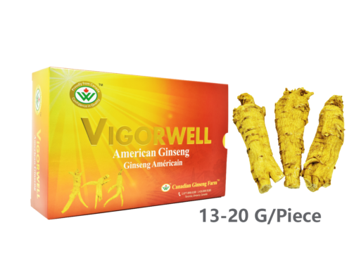 Vigorwell Selected Large Medium-Chunky American Ginseng (400G/14.1OZ)
