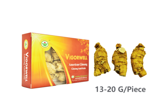 Vigorwell Selected Large Short-Chunky American Ginseng (150G/5.3OZ)