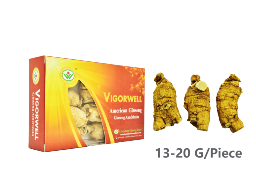 Vigorwell Selected Large Short-Chunky American Ginseng (150G/5.3OZ)