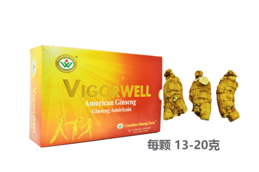 威格维尔 . 精选一级短泡西洋参 (1磅/454克/16盎司)