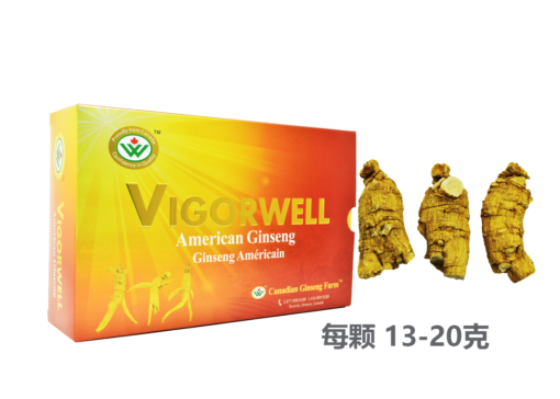 威格维尔 . 精选一级短泡西洋参 (1磅/454克/16盎司)