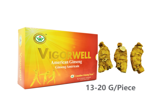 Vigorwell Selected Large Short-Chunky American Ginseng (1LB/454G/16OZ)