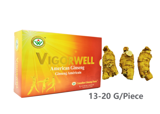 Vigorwell Selected Large Short-Chunky American Ginseng (1LB/454G/16OZ)