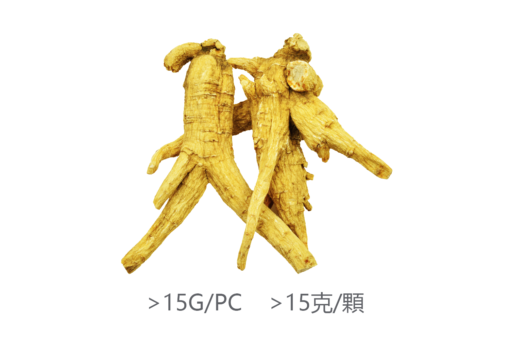 威格維爾 . 五年特級全枝花旗參 (200克/7.0盎司)：圖片 2