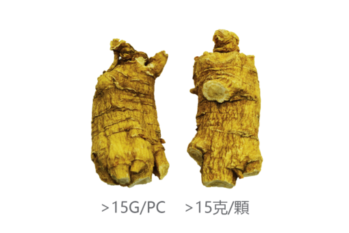 威格維爾 . 五年特級短泡花旗參 (150克/5.3盎司)：圖片 2