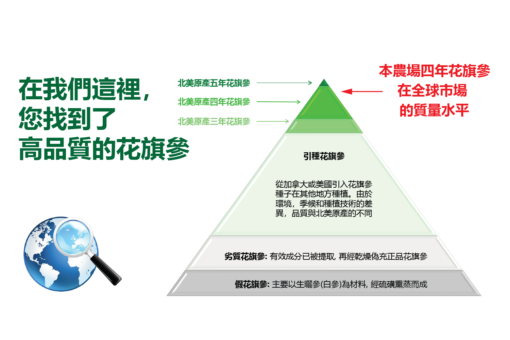 威格維爾 . 四年純花旗參粉 (150克/5.3盎司)：圖片 10