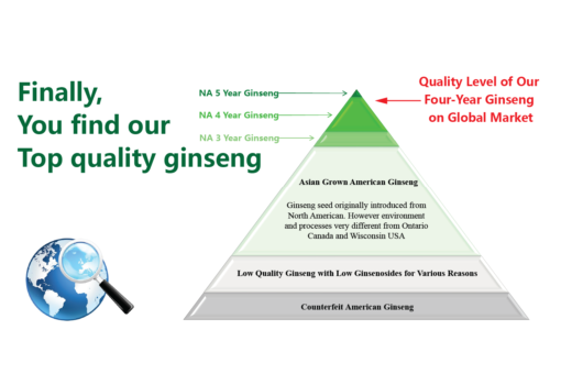 Vigorwell Ginseng Sample: 5 Gram 4-Year + 5 Gram 5-Year Small Slice - Image 8