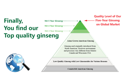 Vigorwell Ginseng Sample: 5 Gram 4-Year + 5 Gram 5-Year Small Slice - Image 9