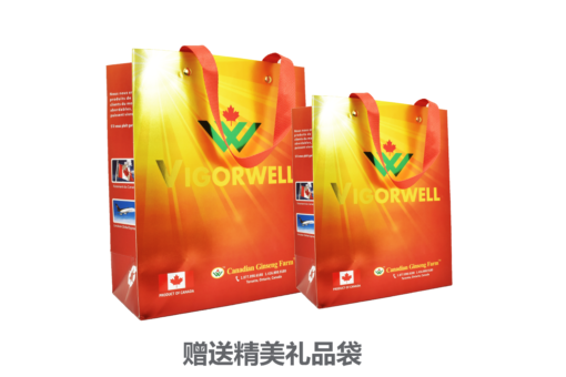 威格维尔 . 四年西洋参中片 (100克/3.5盎司) - 图片 8