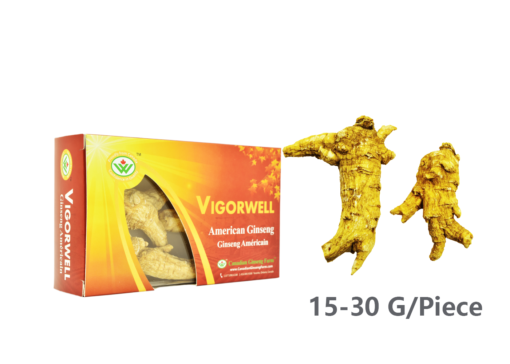 Vigorwell Selected Jumbo American Ginseng (60G/2.1OZ)
