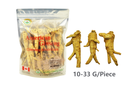 Virgowell 4-Year Jumbo American Ginseng (1LB/454G/16OZ)
