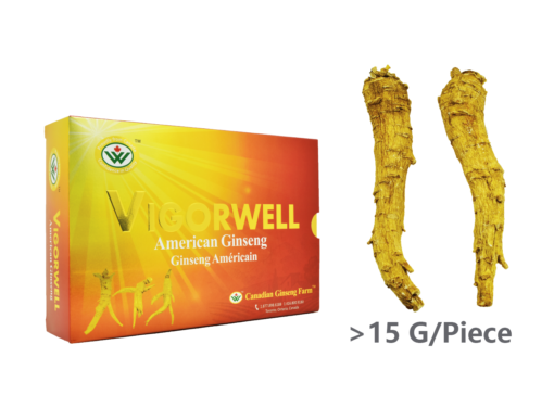Vigorwell 4-Year Jumbo Long American Ginseng (170G/6.0OZ)
