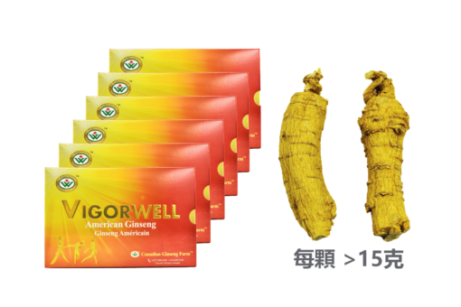 威格維爾 . 四年特級中泡花旗參 (精裝 量販6盒 3磅/1,362克/48盎司)