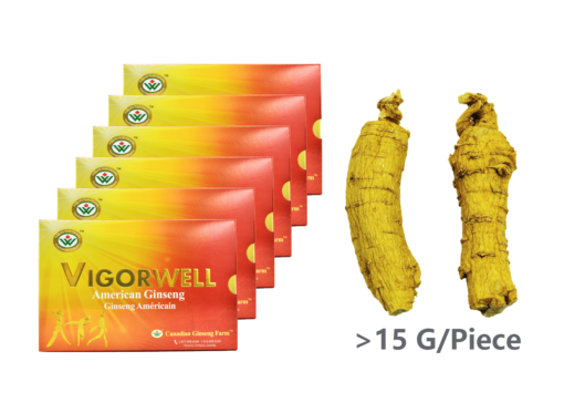Vigorwell 4-Year Jumbo Medium-Chunky American Ginseng (6 Boxes 3LB/1,362G/48OZ)