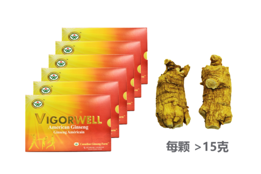 威格维尔 . 四年特级短泡参 (精装 量贩6盒 3磅/1,362克/48盎司)-包邮中国