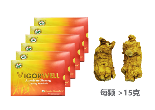 威格维尔 . 四年特级短泡西洋参 (精装 量贩6盒 3磅/1,362克/48盎司)