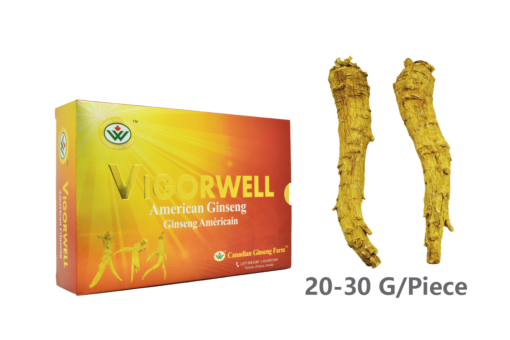 Vigorwell Selected Jumbo Long Ginseng (200G/7.0OZ)-Shipped To China