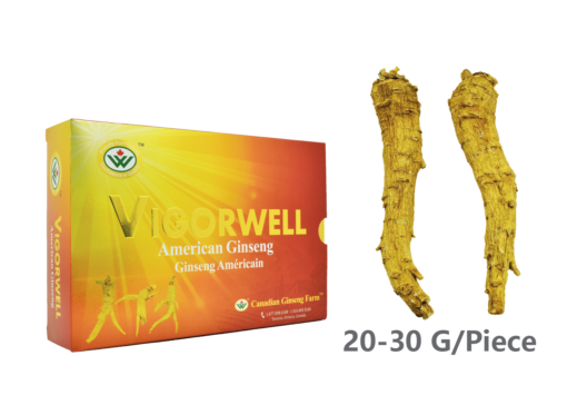 Vigorwell Selected Jumbo Long Ginseng (200G/7.0OZ)-Shipped To China