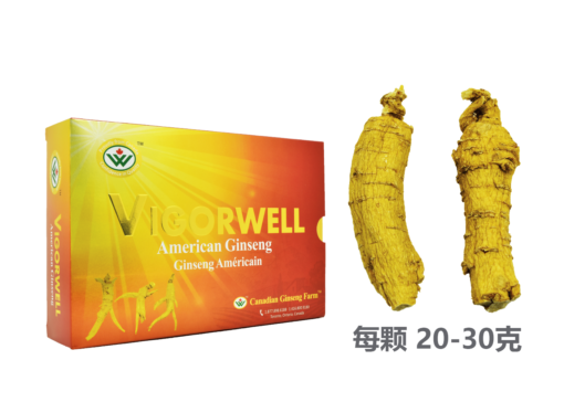 威格维尔 . 精选特级中泡西洋参 (227克/8.0盎司)