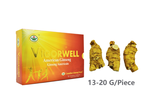 Vigorwell Selected Large Short-Chunky American Ginseng (227G/8.0OZ)
