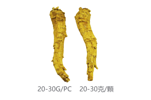 威格維爾 . 精選特級長枝花旗參 (200克/7.0盎司)-包郵中國：圖片 2