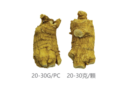 威格維爾 . 精選特級短泡花旗參 (227克/8.0盎司)：圖片 2