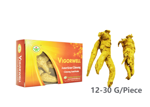 Vigorwell 4-Year Jumbo American Ginseng (60G/2.1OZ)