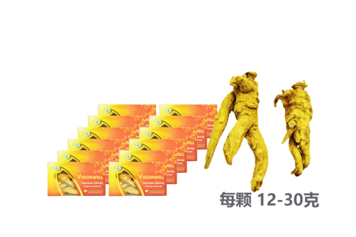 威格维尔 . 四年特级西洋参 (60克/2.1盎司) X 12盒