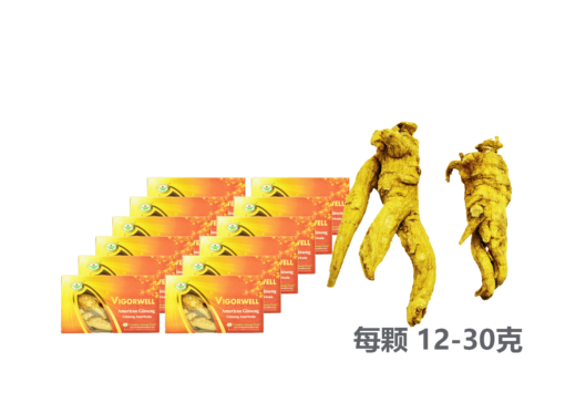 威格维尔 . 四年特级西洋参 (60克/2.1盎司) X 12盒