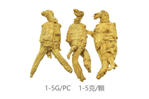 威格維爾 . 五年原枝小泡花旗參 (115克/4.1盎司)：圖片 2