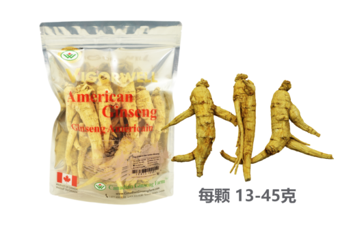 威格维尔 . 五年特级西洋参 (1磅/454克/16盎司)-包邮中国