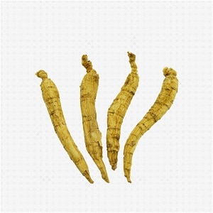 Regular 4 Year Ginseng