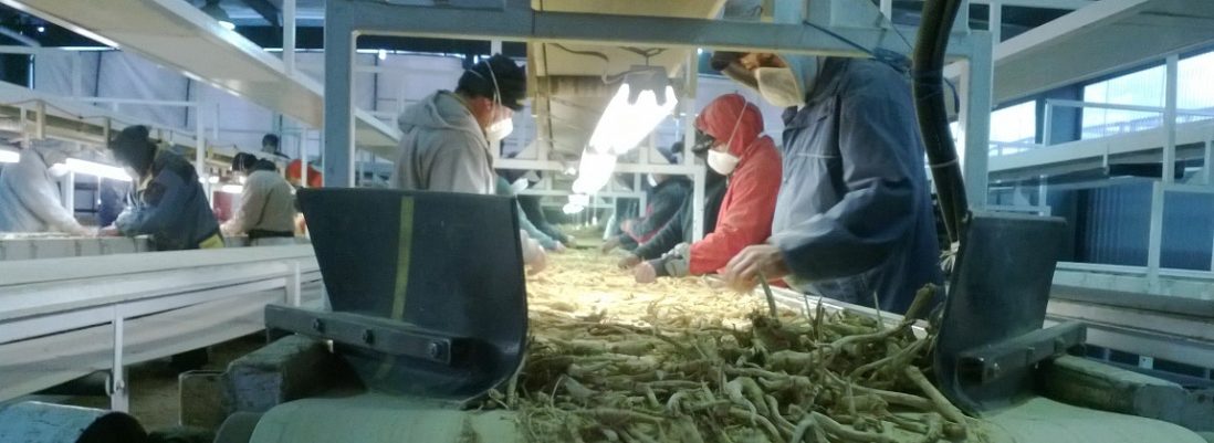 Canadian Ginseng Farm